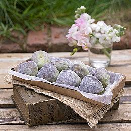 《WEBFISHING》登陆Steam 休闲钓鱼